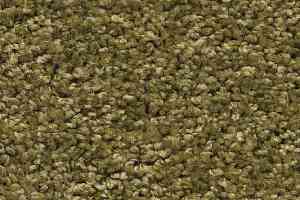 Ковролин AW Devotion 23 фото  | FLOORDEALER